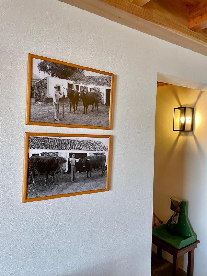 Вілла Casa Do Avo Jose Alves Прая-да-Віторія Екстер'єр фото